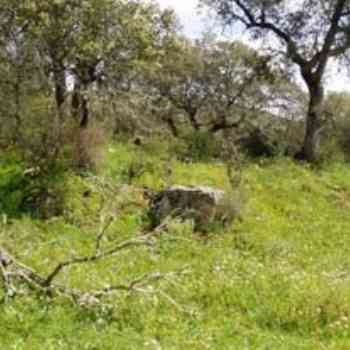 Click para ampliar. Pulsa en el nombre para ver la ficha. BARCARROTA - Tumulo dólmen de Enmedio . Badajoz